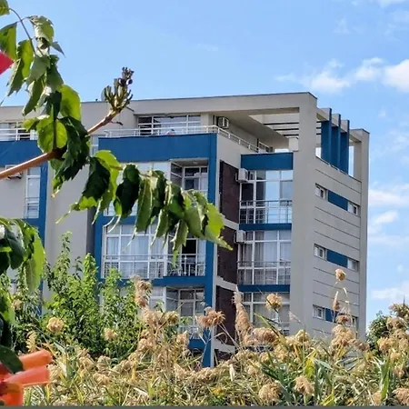 Sunny Serenity Apartment