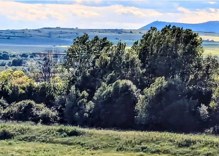 Апартаменты Homely Bulgarian Apartment 1 Bed *